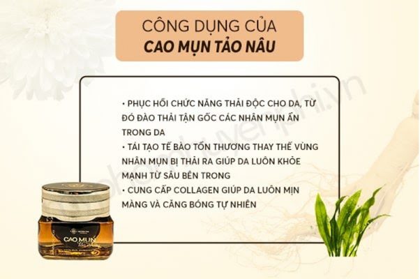 công dụng cao mụn huyền phi công dụng cao mụn huyền phi