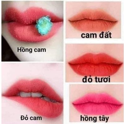 bảng 5 màu son kem bảng 5 màu son kem